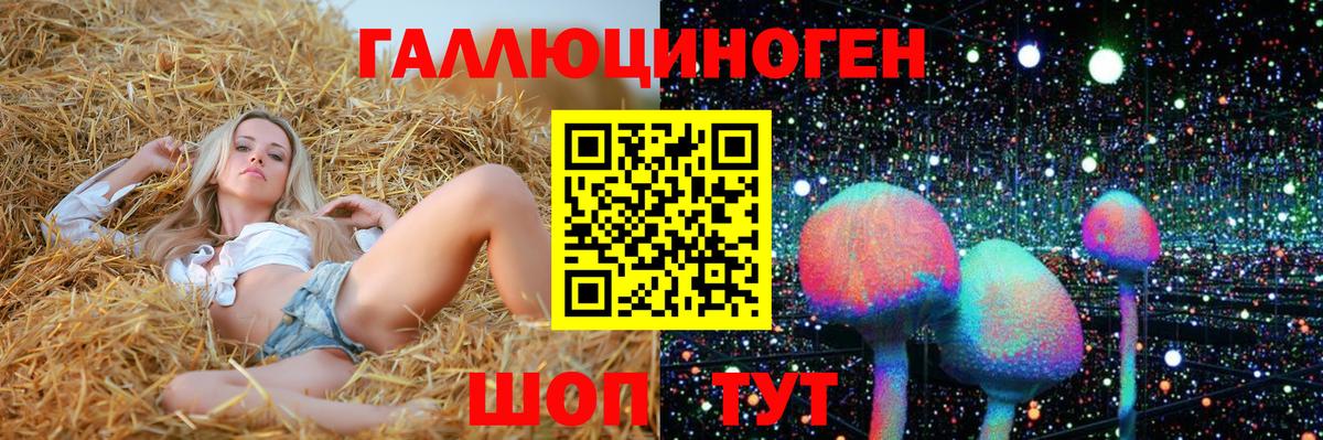 наркотики  Вход с VPN  Ленинск-Кузнецкий  Псилоцибиновые грибы Psilocybine cubensis 