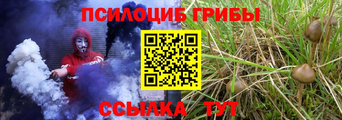 Псилоцибиновые грибы прущие грибы Ленинск-Кузнецкий